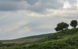 'A Bit Of A Rainbow' by Carol McKay