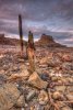 'Lindisfarne Castle' by Dave Dixon LRPS