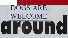 'Dogs Are Welcome' by Doug Ross