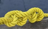 'Yellow Knot' by Doug Ross
