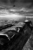 'Seahouses' by Gareth Shackleton