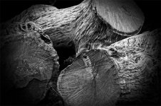 'Logs At Boulmer' by Ian Atkinson ARPS