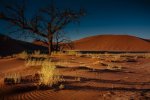'Namibia' by Ian Atkinson ARPS