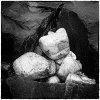 'Boulder Nest, Beadnell' by John Thompson ARPS EFIAP CPAGB 