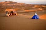 'Sahara Sunset (2)' by Laine Baker