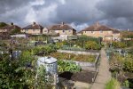 'St James' Allotments' by Lynda Wearn