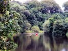 'Canoeing Round The Bend' by Rosie Cook-Jury