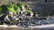 'Rocky Shore, Craster' by Rosie Cook-Jury