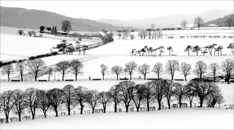 'Winterscape' by Alastair Cochrane FRPS DPAGB EFIAP