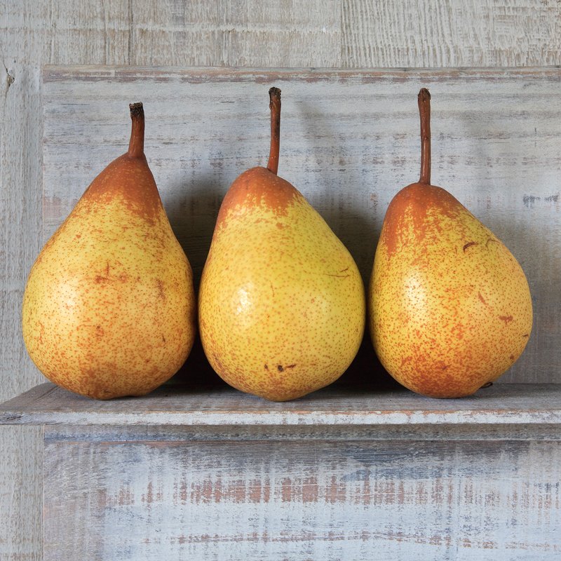 '3 Pears On Shelf' by Geoffrey Bradford
