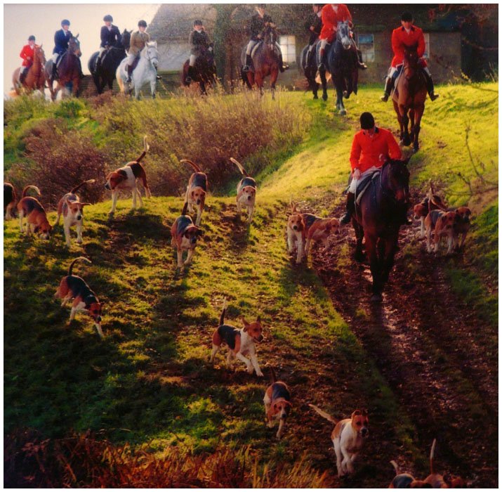 'A Hunting We Will Go (2)' by Jane Coltman CPAGB