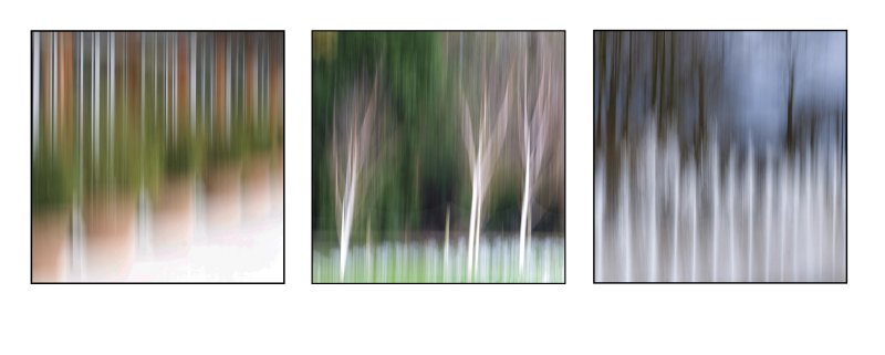 'Alnwick Garden Abstracts' by Jane Coltman CPAGB