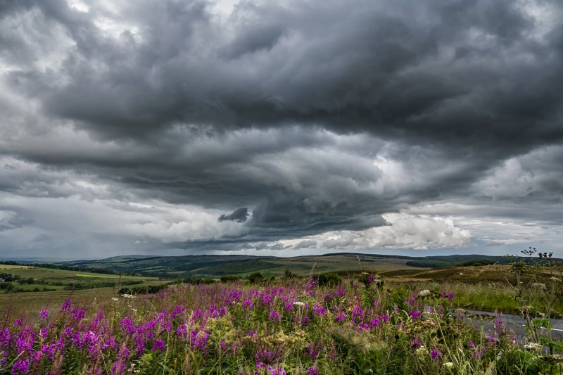 'Clouds Gather Over Alnwick Moor' by Jane Coltman CPAGB