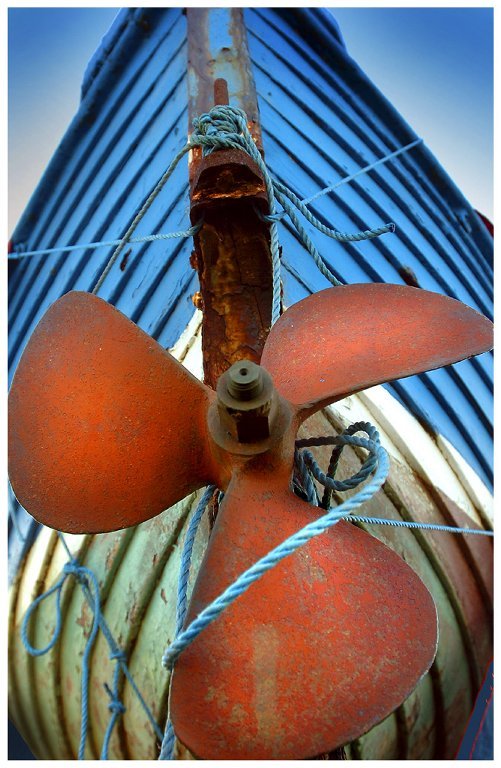 'Red Propeller' by Jane Coltman CPAGB