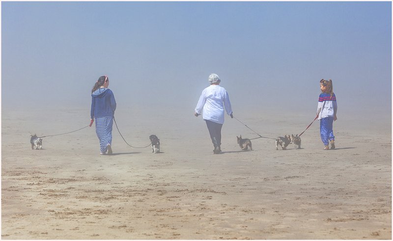 'Dog Walkers In The Mist' by John Thompson ARPS EFIAP CPAGB 