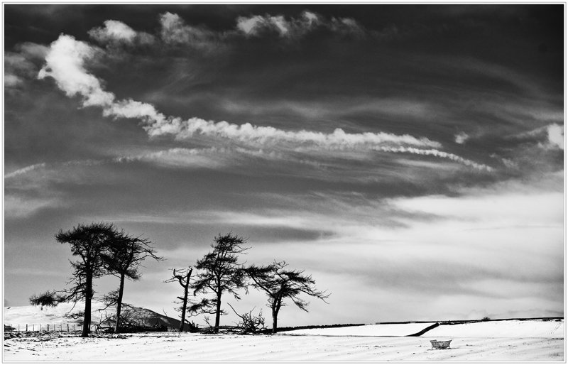 'Winter' by John Thompson ARPS EFIAP CPAGB 