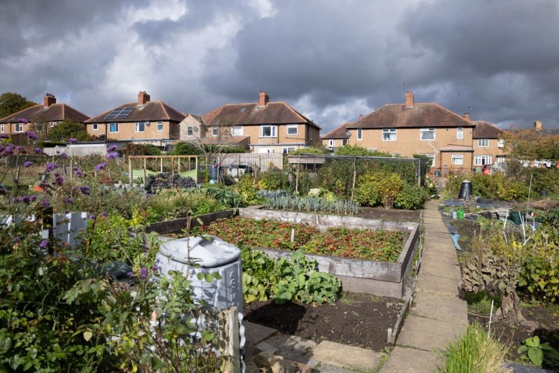'St James' Allotments' by Lynda Wearn